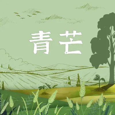 青芒（伴奏）封面