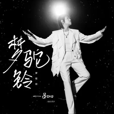 梦驼铃封面