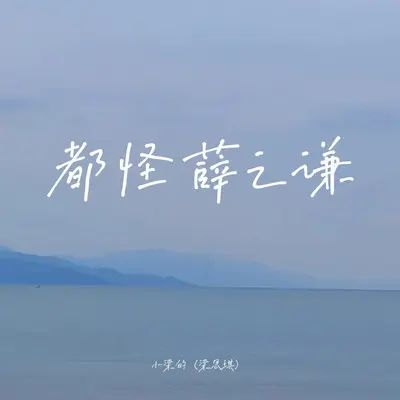 都怪薛之谦（DJ Eva版）封面