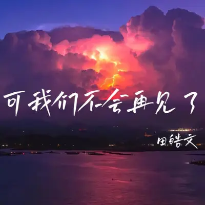 可我们不会再见了（男声版）封面