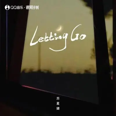 Letting Go (DJ-lucky小阳版)封面
