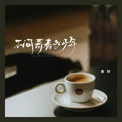 不问青春多少年封面