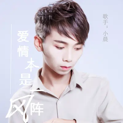 爱情本是一阵风（伴奏）封面