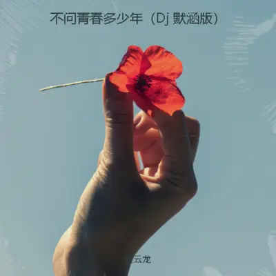 不问青春多少年（Dj 默涵版）封面