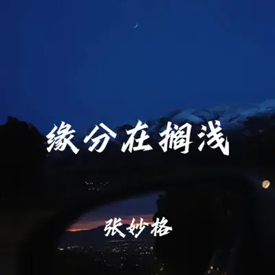 缘分在搁浅 (DJ版) - 张妙格 / DJ先森封面