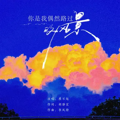 你是我偶然路过的风景封面