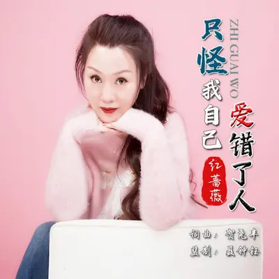 只怪我自己爱错了人封面