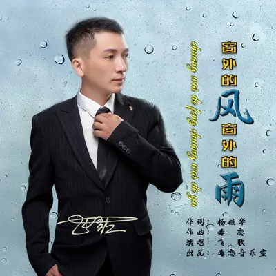 窗外的风窗外的雨封面