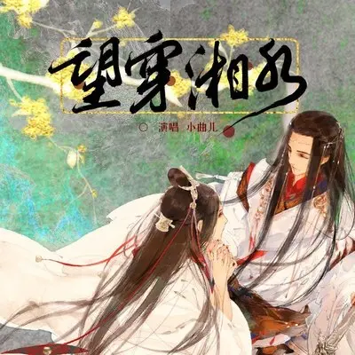 望穿湘水封面