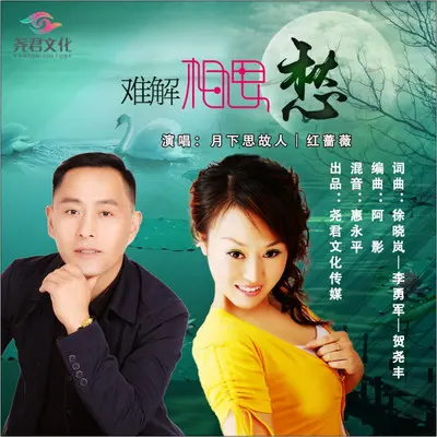 难解相思愁（对唱版）封面