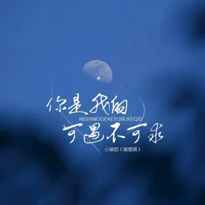 你是我的可遇不可求封面