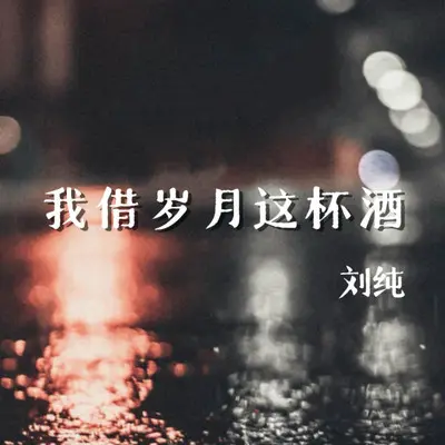 我借岁月这杯酒封面