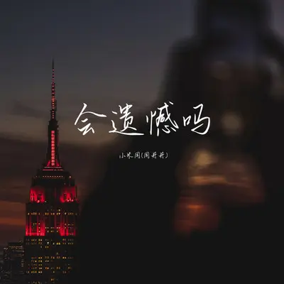 会遗憾吗封面