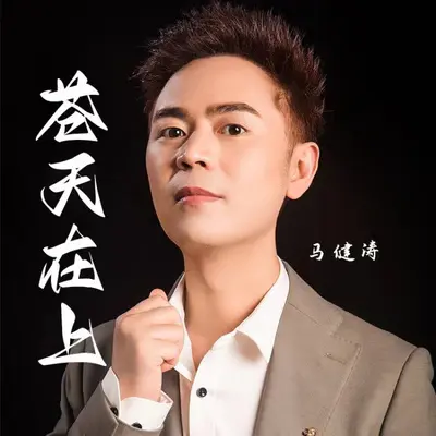 苍天在上封面