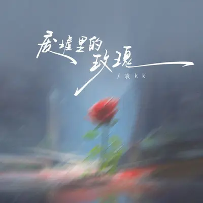 废墟里的玫瑰(DJ铁柱版)封面