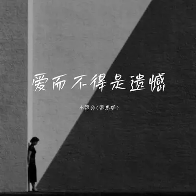 爱而不得是遗憾封面