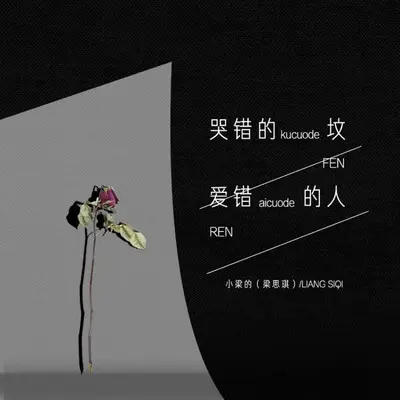 哭错的坟爱错的人封面