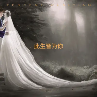 此生皆为你封面
