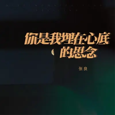 你是我埋在心底的思念封面