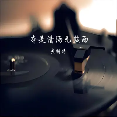 本是清汤无盐面封面