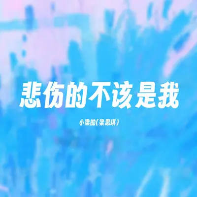 悲伤的不该是我（DJ Eva版）封面
