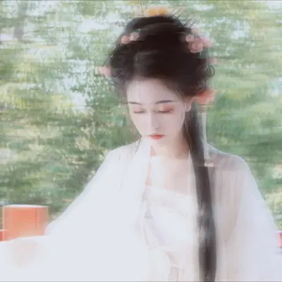 飞花时封面