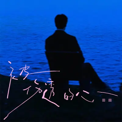 被伤透的心（DJ豪大大版） - 田园封面