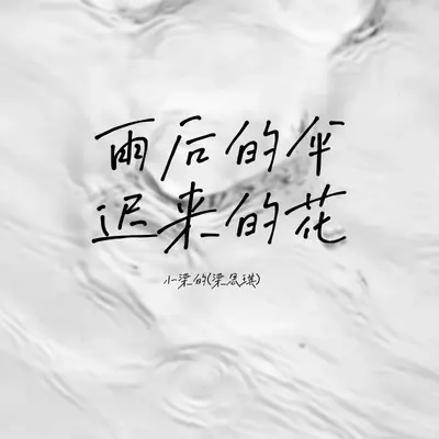雨后的伞迟来的花（DJ Eva版）封面