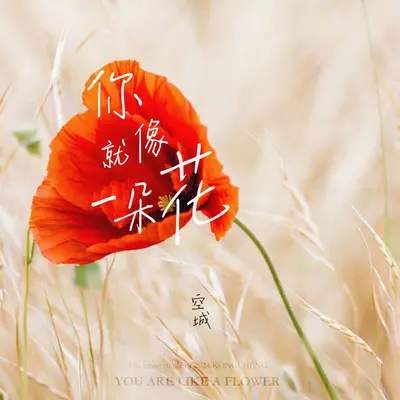 你就像一朵花——致JOEY封面