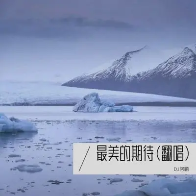 有所失才有所悟（Remix）封面
