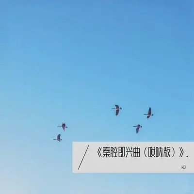 《秦腔即兴曲(唢呐版)》. - Sara封面