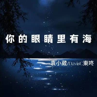你的眼睛里有海 - 袁小葳 / DavisC东咚封面