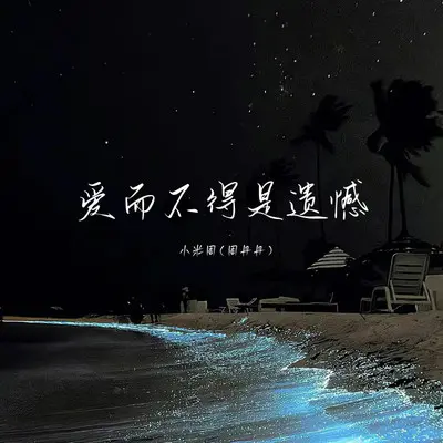 爱而不得是遗憾封面