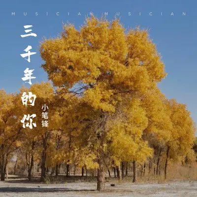 三千年的你封面