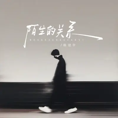 陌生的关系（DJ铁柱版）封面