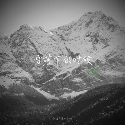 雪落下的时候封面