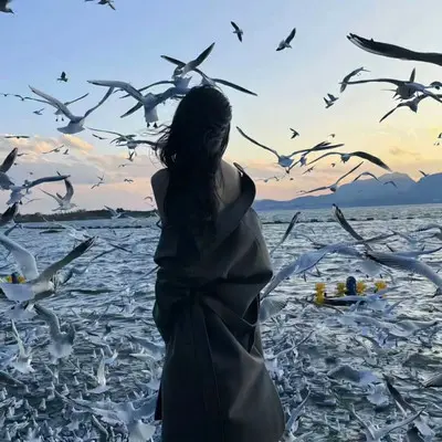 我知道爱本质无异封面