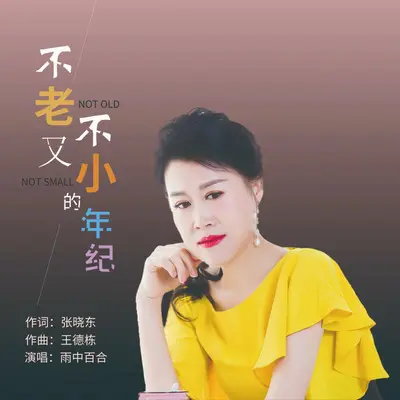 不老又不小的年纪（DJ彭锐版）封面