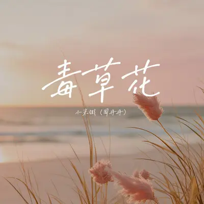 毒草花（DJ Eva版）封面