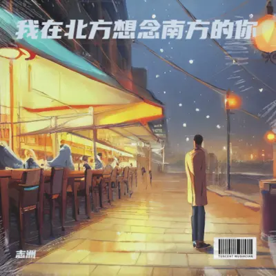 我在北方想念南方的你 - 李志洲封面