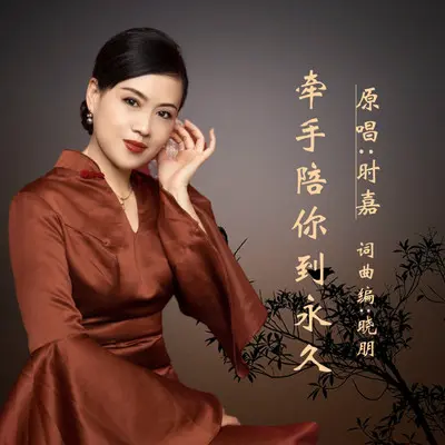 牵手陪你到永久DJ(女版) - 晓朋 / 时嘉封面