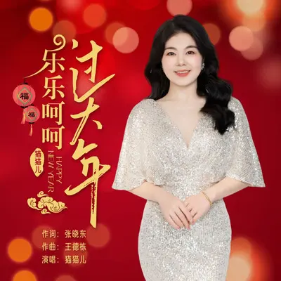 乐乐呵呵过大年封面