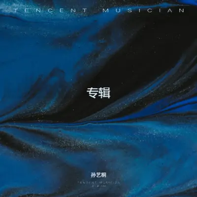 风华正茂封面