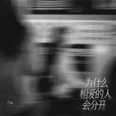 为什么相爱的人会分开（DJ沈乐版） - 田园封面