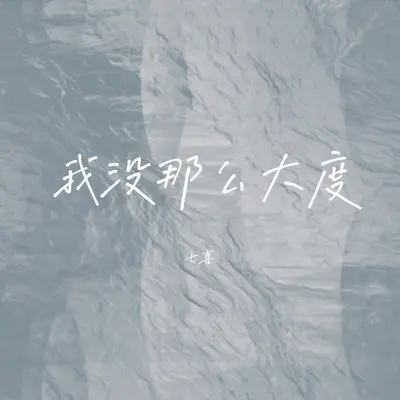 我没那么大度（DJ Eva版）封面