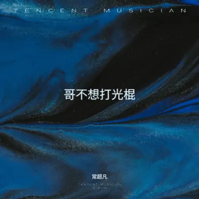 哥不想打光棍儿（哥想娶个媳妇儿）封面