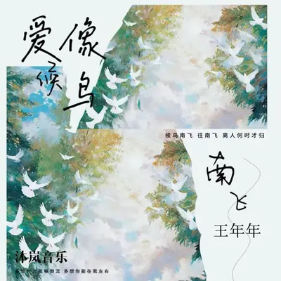 爱像候鸟南飞（DJ京仔版）封面