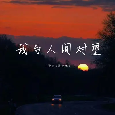 我与人间对望(DJ Eva版)封面