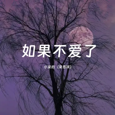 如果不爱了 （DJ Eva版）封面