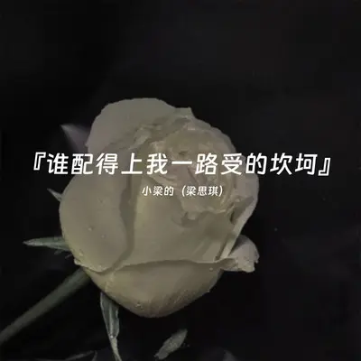 谁配得上我一路受的坎坷（DJ Eva版） - 小梁的（梁思琪）封面